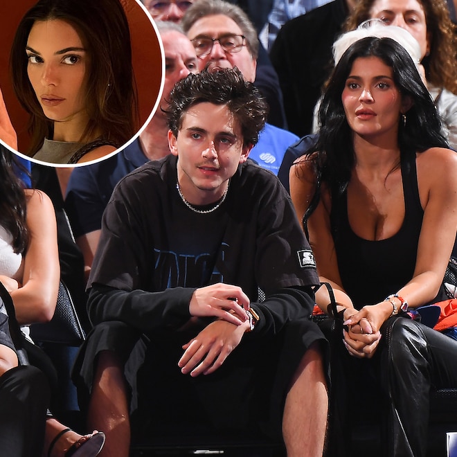 Proof Kendall Jenner Approves of Kylie Jenner and Timothée Chalamet